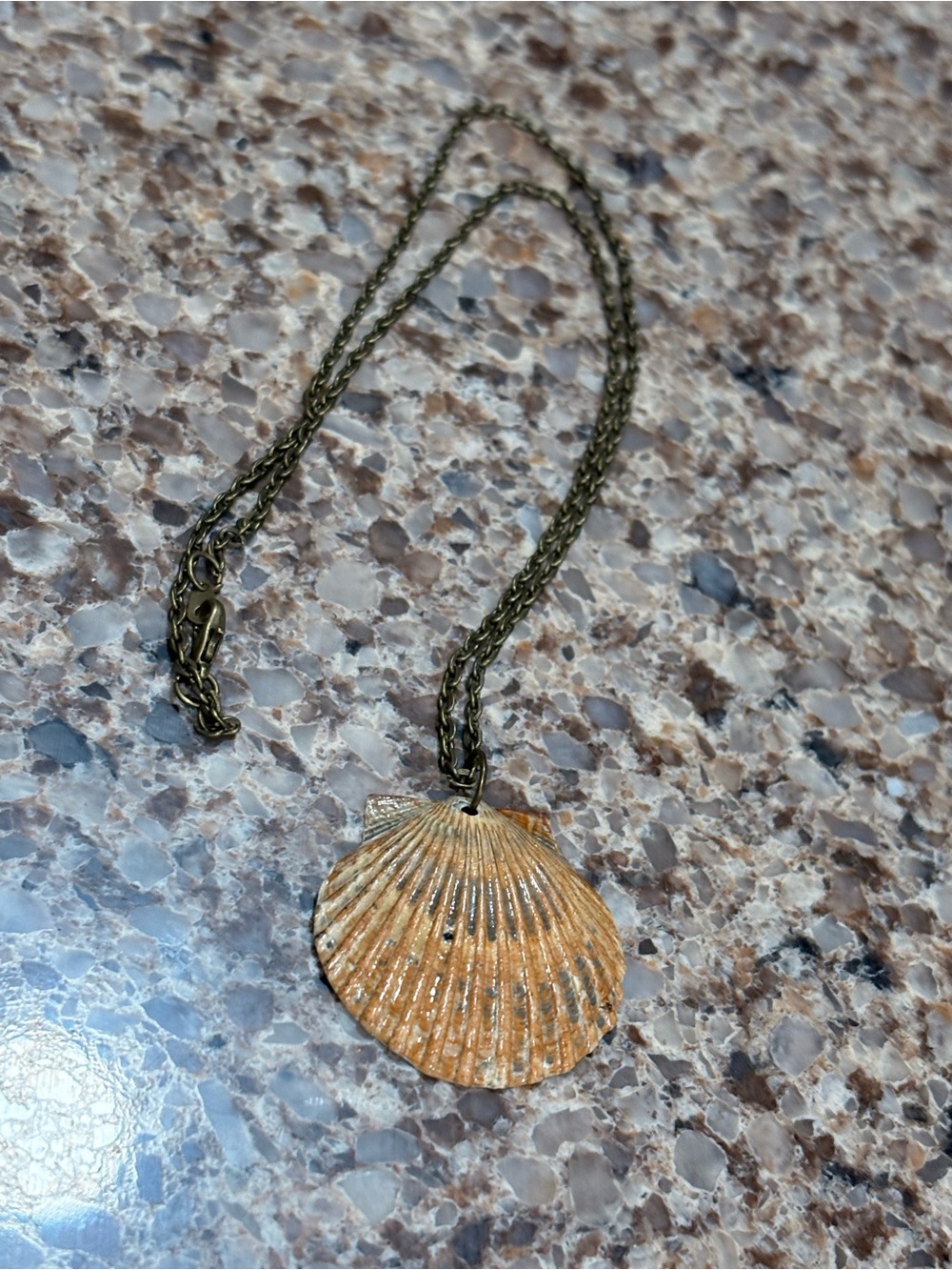 Shell necklace